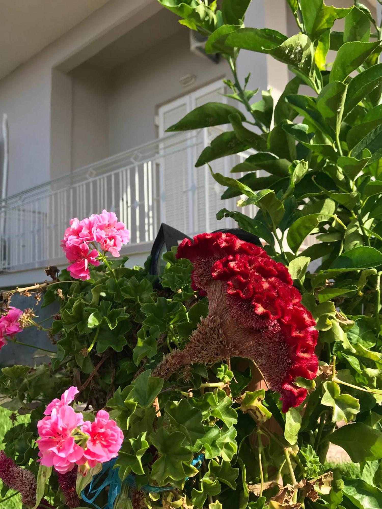 Kalimera Suite Kalamata Exteriér fotografie